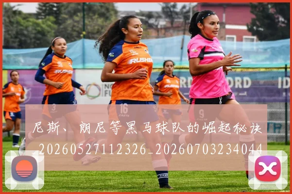 尼斯、朗尼等黑马球队的崛起秘诀_20260527112326_20260703234044